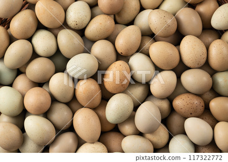 Rutin Chicken Ludin Chicken Egg Egg Brown Coffee Gray Top View Egg in nest Egg 生たまご 117322772