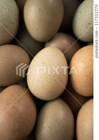 Rutin Chicken Ludin Chicken Egg Egg Brown Coffee Gray Top View Egg in nest Egg 生たまご 117322774