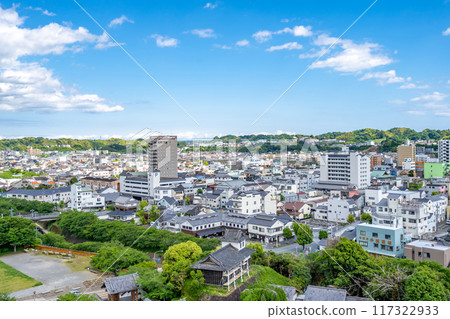 South side view from Kakegawa Castle tower 117322933