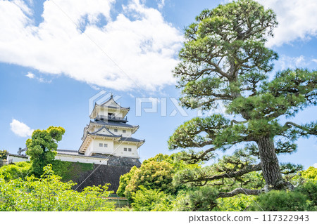從掛川城二之丸禦苑眺望掛川城天守閣的松樹 從掛川城二之丸禦苑眺望掛川城天守閣的松樹 117322943