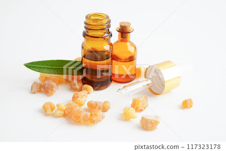Frankincense or olibanum aromatic resin used in incense and perfumes. 117323178