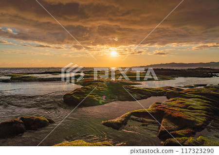 [Shizuoka Prefecture, Shimoda City] Ebisu Island, Sunset 117323290