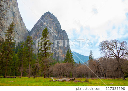 Cathedral Rocks of Yosemite 117323398