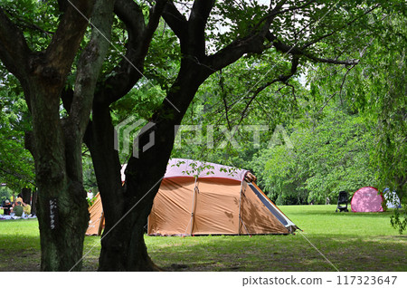 戶外露營公園（埼玉縣、埼玉市、市民森林、見沼綠色中心） 117323647
