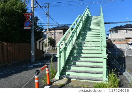 十字路口的行人天橋 十字路口的行人天橋 117324016