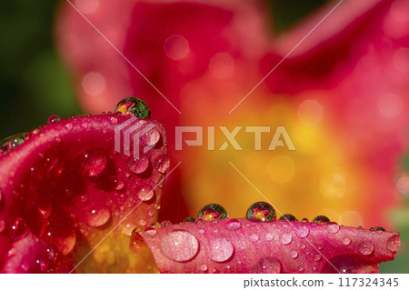 水滴 水滴 117324345