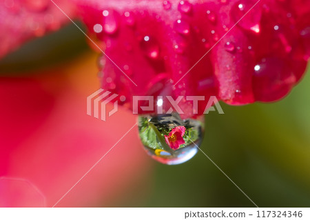 水滴 水滴 117324346