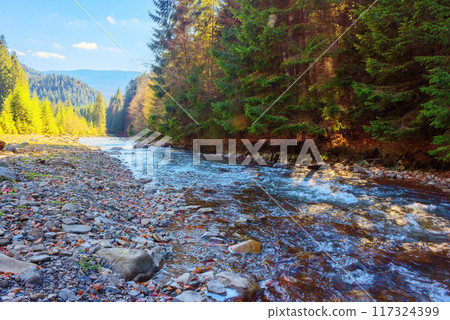mountainous countryside scenery in the valley with shallow river. carpathinan nature landscape in fall season. rocky shore. bright sunny weather in autumn mountainous countryside scenery in the valley with shallow river. carpathinan nature landscape in fall season. rocky shore. bright sunny weather in autumn 117324399