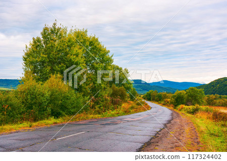 Empty asphalt mountain road near the deciduous forest with cloudy sky in morning light 117324402