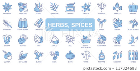 Herbs and spices icons set in duotone outline stroke design for web. Pack pictograms of star anise, oregano, fennel, tarragon, vanilla, caraway, parsley, paprika, rosemary, other. Vector illustration. 117324698