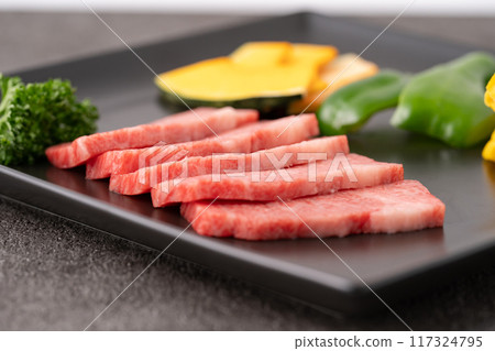 Beef and vegetable platter 117324795