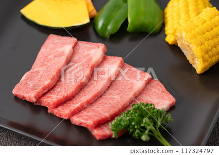 Beef and vegetable platter Beef and vegetable platter 117324797