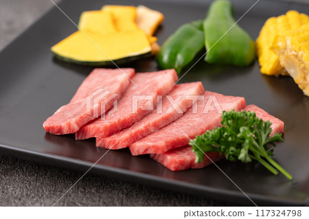 Beef and vegetable platter Beef and vegetable platter 117324798