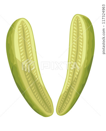 Homemade pickled cucumber. Clip-art of marinated food for packaging, label, menu, signboard or showcase. Fermented veggies, crunch gherkin with salt. Healthy vegetarian food Homemade pickled cucumber. Clip-art of marinated food for packaging, label, menu, signboard or showcase. Fermented veggies, crunch gherkin with salt. Healthy vegetarian food 117324963