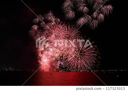 Lake Biwa's summer special event: Lake Biwa Fireworks Festival Lake Biwa's summer special event: Lake Biwa Fireworks Festival 117325013