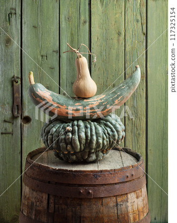 Harvest of Marina Di Chioggia, Candy Roaster and Butternut Squash on a Barrel Harvest of Marina Di Chioggia, Candy Roaster and Butternut Squash on a Barrel 117325154