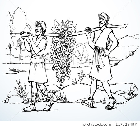 Vector drawing. Two men bear a grape. Vector drawing. Two men bear a grape. 117325497