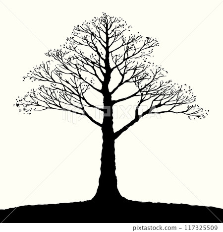 Vector drawing. Big bare tree 117325509
