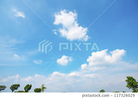 Summer clouds and trees Summer clouds and trees 117326029