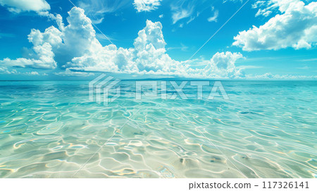 Serene Waters Below a Cottony Cloud Sky 117326141