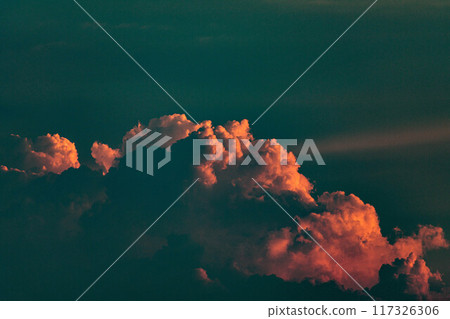 Cumulonimbus illuminated by the setting sun 117326306