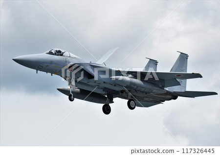 F-15J (Aircraft) F-15J (Aircraft) 117326445