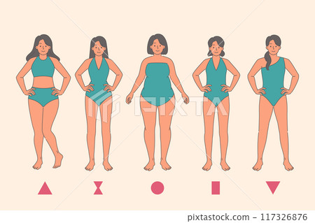 Anatomy woman body types and different species figures that affect size of breasts and hips or waist 117326876
