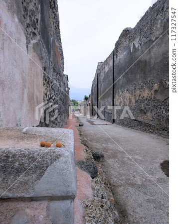 Pompeii ruins: walls and alleys of ancient Roman houses (Italy) Pompeii ruins: walls and alleys of ancient Roman houses (Italy) 117327547