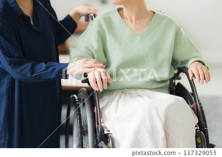 老人和照顧他們的家人的照片 117329055