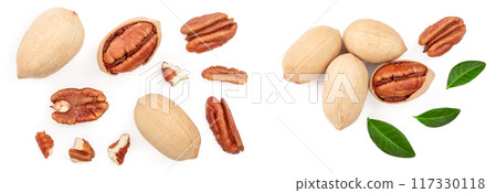 pecan nut isolated on white background. Top view. Flat lay pecan nut isolated on white background. Top view. Flat lay 117330118