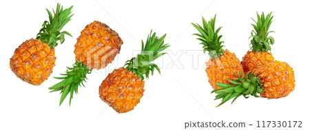 pineapple isolated on white background with full depth of field. Top view. Flat lay 117330172