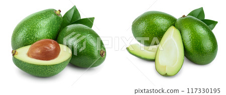 avocado and half with leaves isolated on white background close-up 117330195