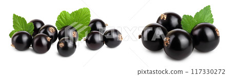 black currant with leaf isolated on white background 117330272