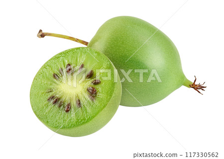 mini kiwi baby fruit or actinidia arguta isolated on white background with full depth of field. 117330562