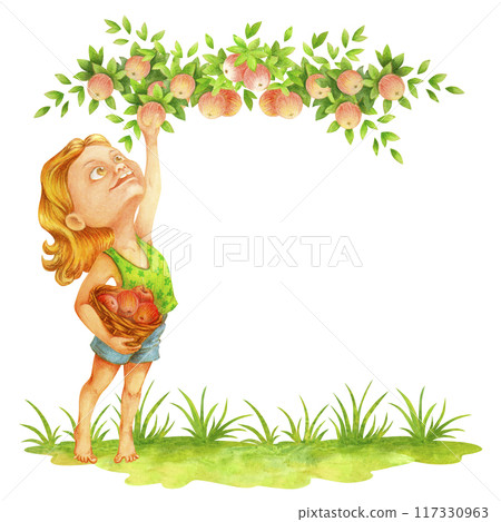 Barefoot Girl picking ripe fruits from apple tree branch. Smiling teenage farmer collecting apples in countryside garden, holding a basket in her hand. Harvest time. Isolated watercolor illustration 117330963
