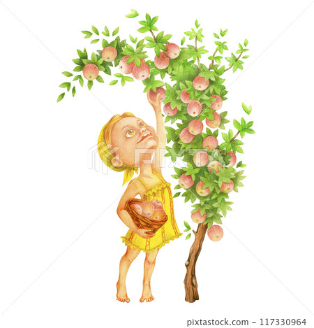 Girl picking ripe fruits from apple tree in orchard. Happy teenage farmer collecting apples in countryside garden, holding a basket in her hand. Harvest time. Watercolor illustration isolated on white 117330964