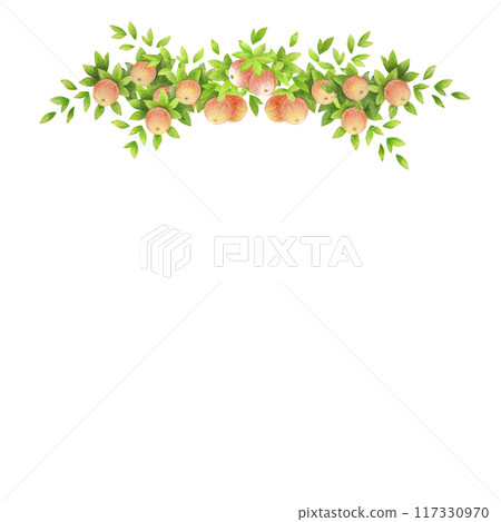 Harvest time. Top frame or border of apple tree branches with leaves and fruits. Watercolor isolated composition for countryside wedding prints design, accessories, garden banners decoration, postcard Harvest time. Top frame or border of apple tree branches with leaves and fruits. Watercolor isolated composition for countryside wedding prints design, accessories, garden banners decoration, postcard 117330970