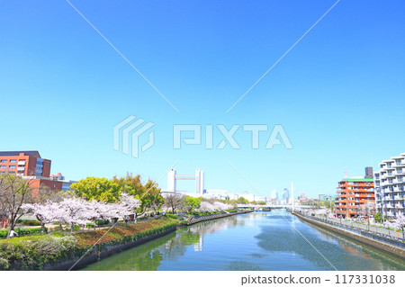 Spring in Nagoya, Aichi Prefecture, with cherry blossoms in full bloom and the Nagoya International Conference Center 117331038