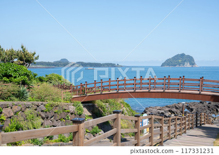 Seogwipo Jaguri Park seascape in Jeju island, Korea 117331231