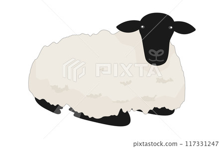 Illustration of a sitting Suffolk sheep 117331247