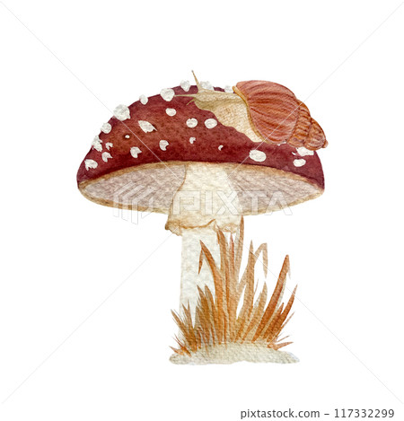 Fly agaric red wild mushroom and a snail textured watercolor composition isolated on white. Stylized autumn forest hand drawn clip art for kids products, cards, packages, label, tote bag, logo design Fly agaric red wild mushroom and a snail textured watercolor composition isolated on white. Stylized autumn forest hand drawn clip art for kids products, cards, packages, label, tote bag, logo design 117332299