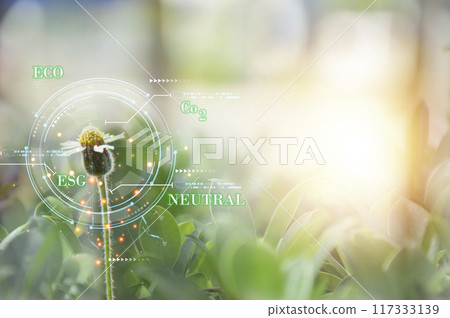 Concept to reduce global warming, increase green area clean air world,net zero 117333139