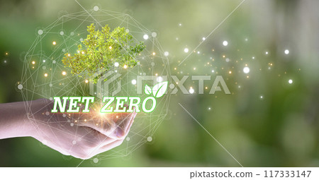 The concept of net zero carbon and carbon neutrality for the goal of net zero greenhouse gas emissions Long-term climate neutral strategy carbon neutrality 117333147