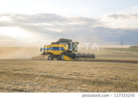 Combine harvester working in a agricultural field by summer day 117333250