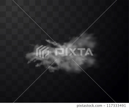 White powder explosion or dust burst with smoke realistic vector illustration, splash of flour or sand White powder explosion or dust burst with smoke realistic vector illustration, splash of flour or sand 117333491