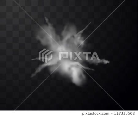 Vector illustration of a white dust explosion on a transparent background. 117333508