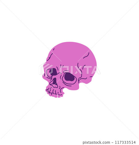 Purple human skull vector cartoon icon, scull braincase bones, Wicca pagan faith symbol, esoteric and occult item Purple human skull vector cartoon icon, scull braincase bones, Wicca pagan faith symbol, esoteric and occult item 117333514