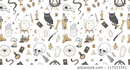 Vector illustration with elements of alchemy and Wicca witchcraft. 117333541