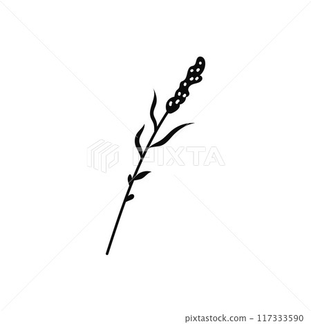 Grass branch vector icon for magic design. Isolated iPhone. 117333590