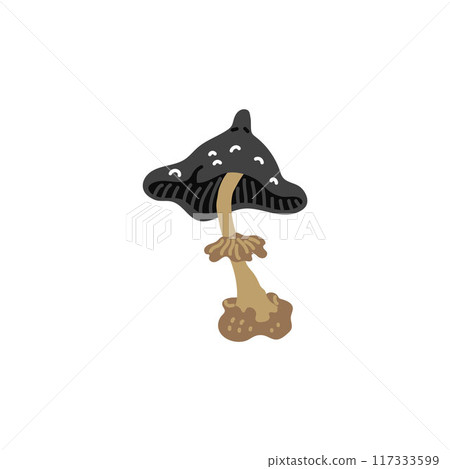 Fly agaric poisonous mushroom vector icon, inedible mushroom with black cap, toadstool amanita, witches venom ingredient 117333599
